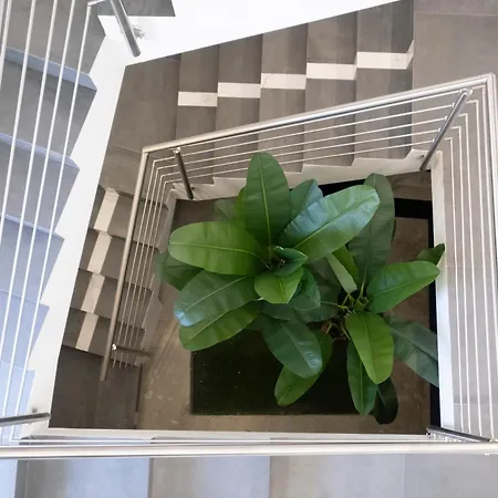 Aphrodite House ベッド・アンド・ブレックファスト