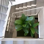 Aphrodite House Bed & Breakfast