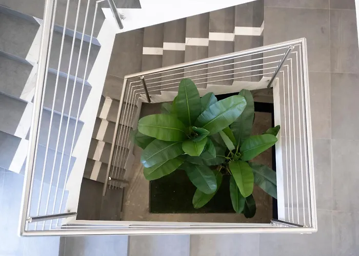 Aphrodite House Bed & Breakfast